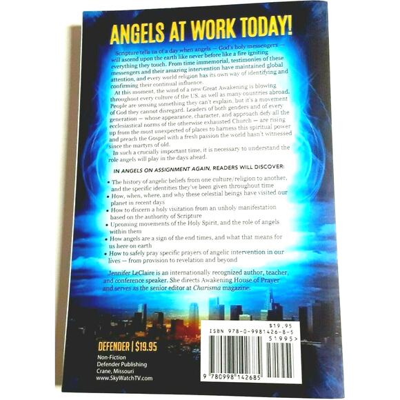 Angels on Assignment Again Gods Real Life Guardians of Saints Christian Book - Picture 4 of 11